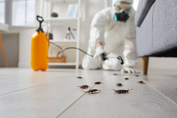 Commercial Kitchen Cockroach Control in Burnt Store Marina